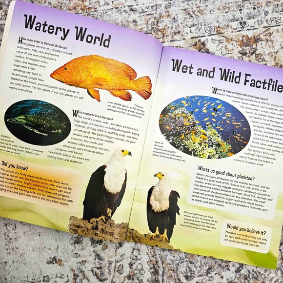 Set of 2 Children's Sticker Books. "Slimy & Scaly" and "Wet & Wild" . Softcover. - Picture 3 of 16